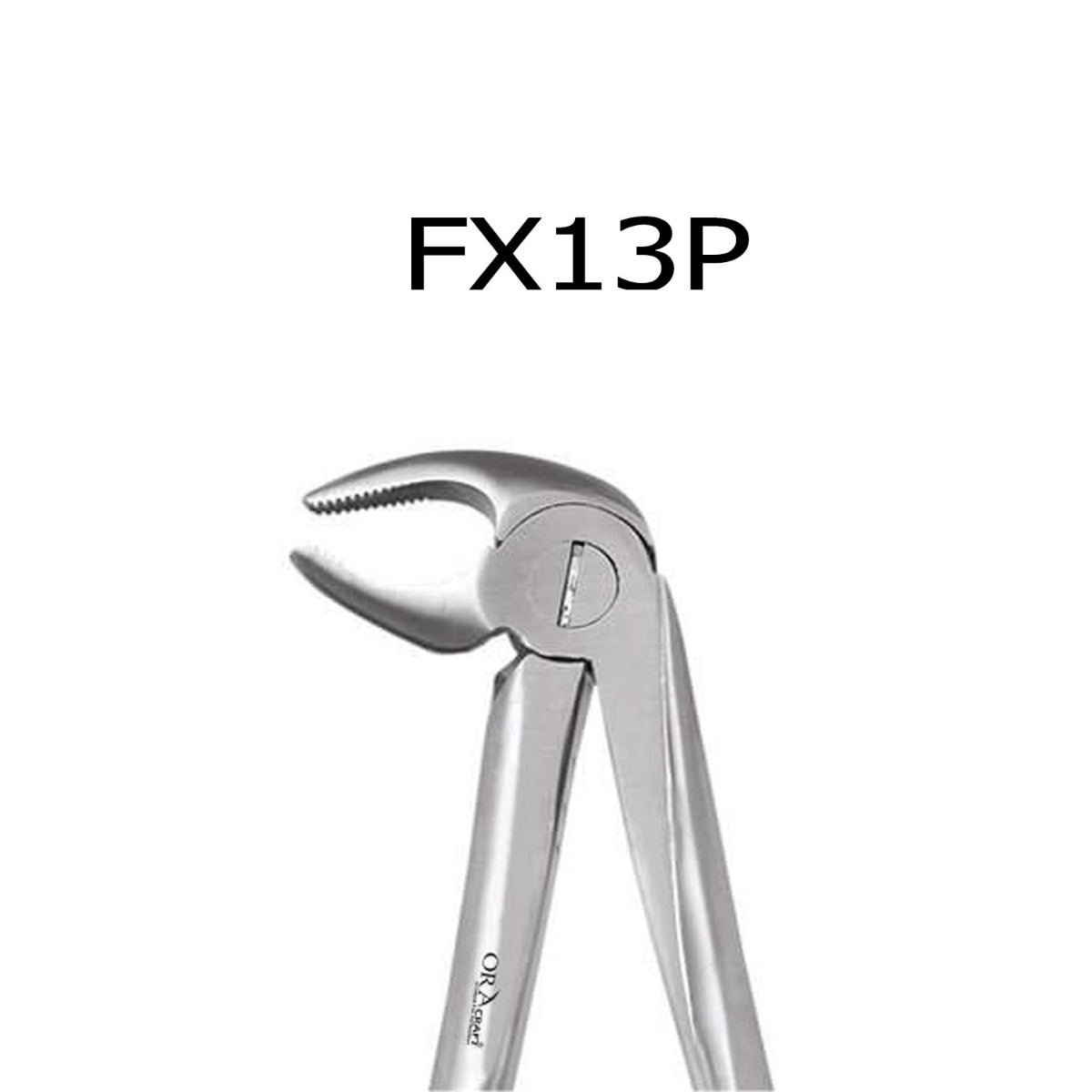 Oracraft Lower Premolars Extraction Forceps - Premium (FX13P)