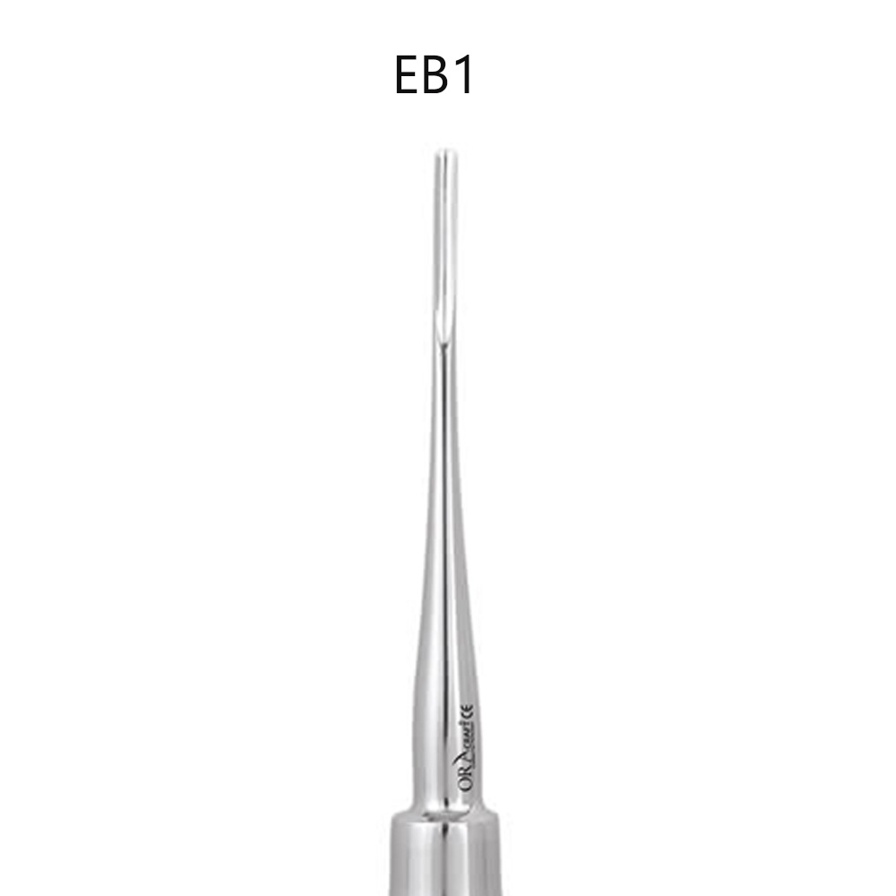 Oracraft Root Elevator Bein (EB1)