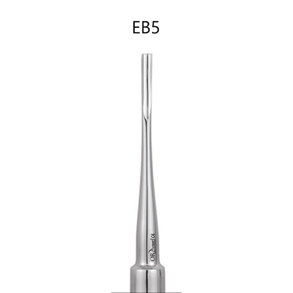 Oracraft Root Elevator Bein (EB5)