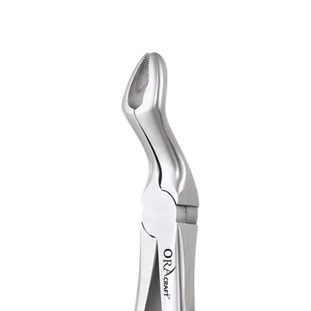 Oracraft Upper Third Molars Extraction Forceps (FX67AS)