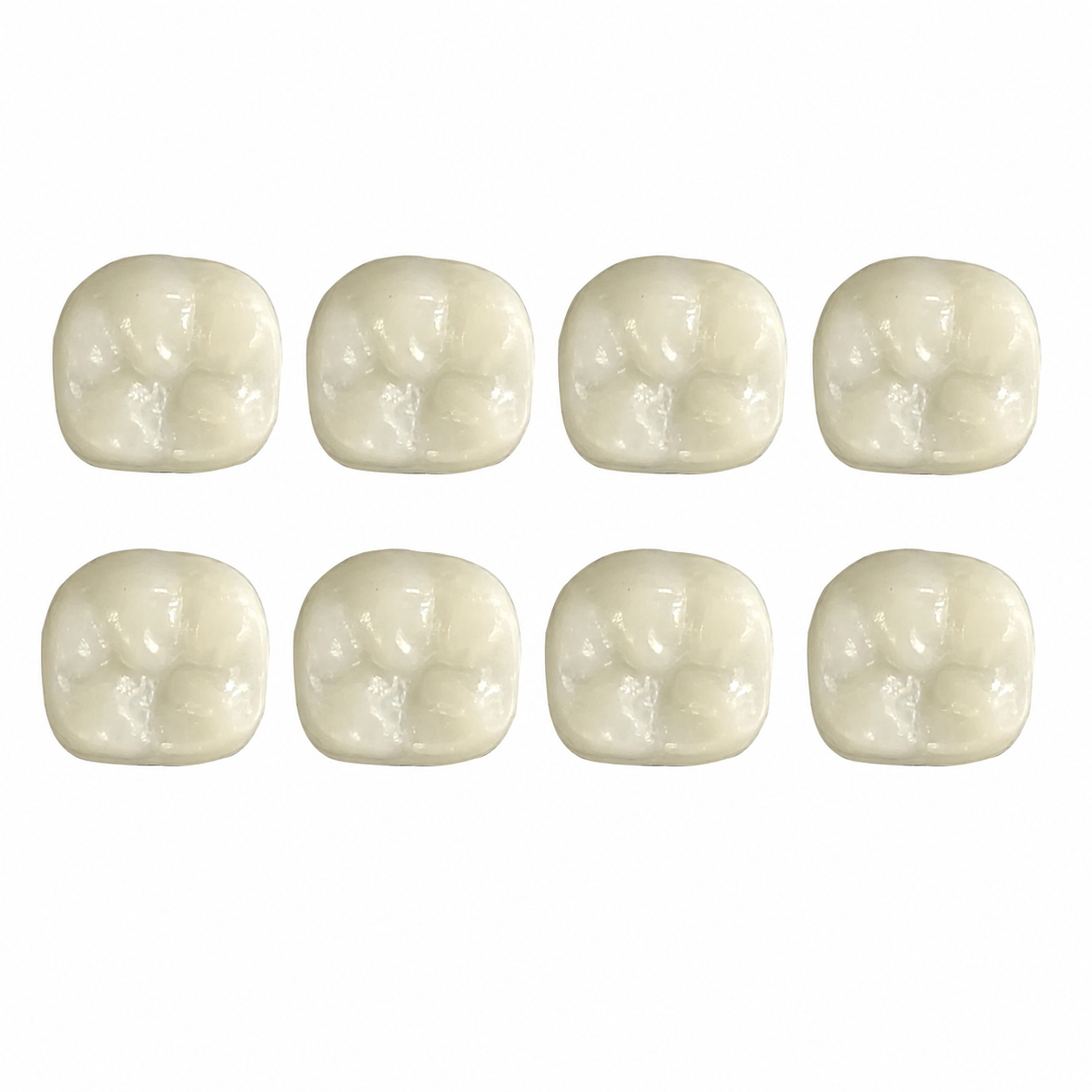 Pedo Crown Permanent 1st Molar Kit - Upper (8 Crowns)