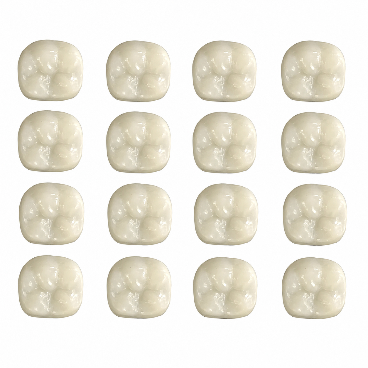 Pedo Crown Permanent 1st Molar Full Kit - Upper & Lower (16 Crowns)
