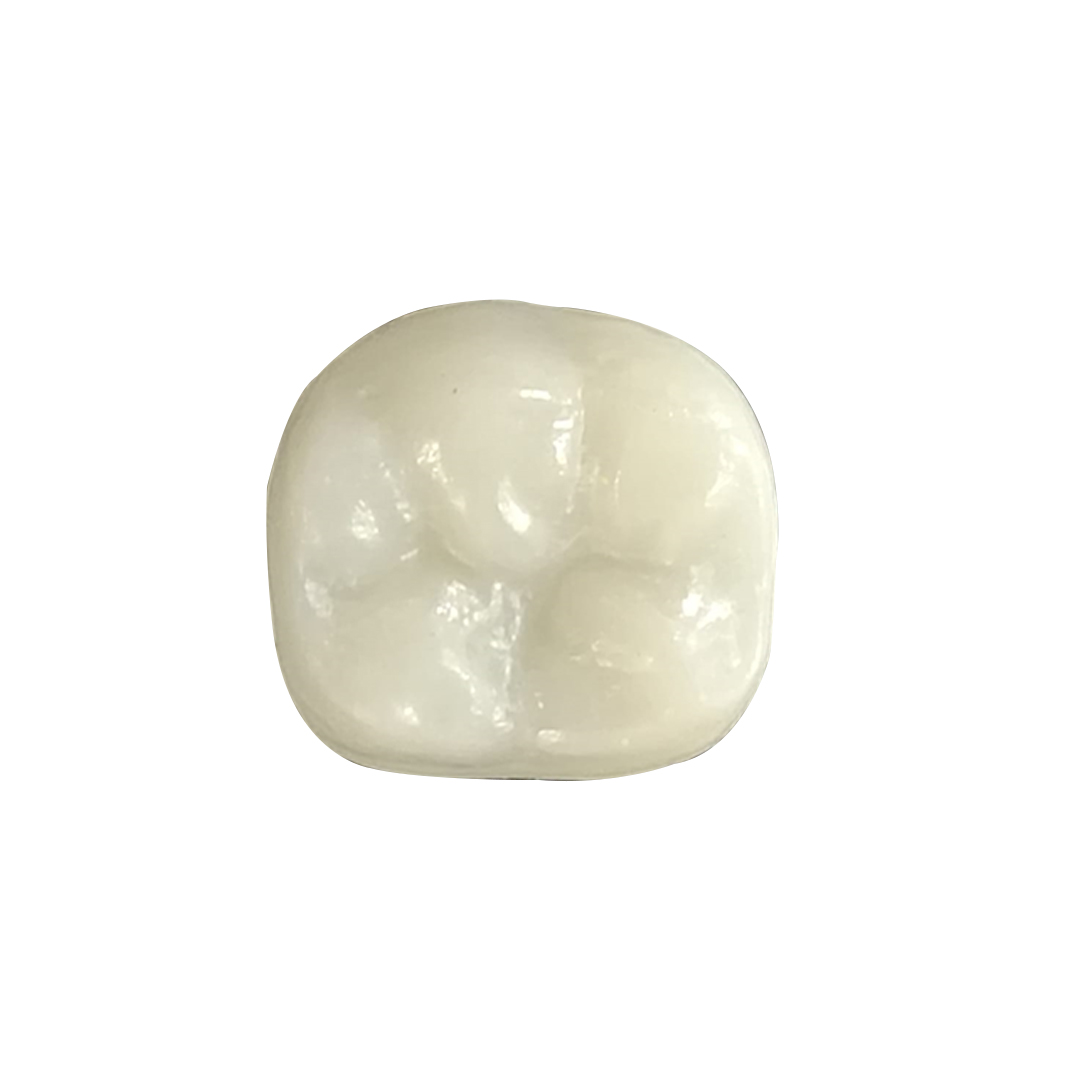 Pedo Crown Permanent 1st Molar Kits