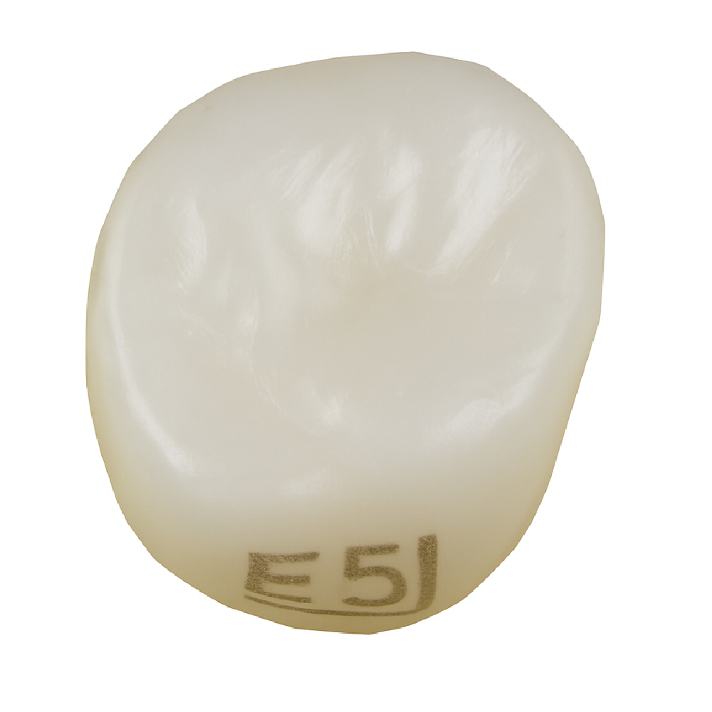 Pedo Crown Primary 2nd Upper Left Molar Refill - Size E5