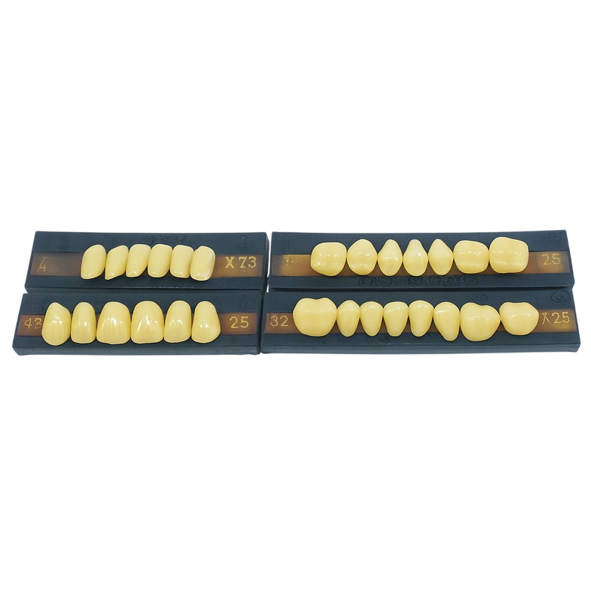 Premadent Teeth Set A26-25