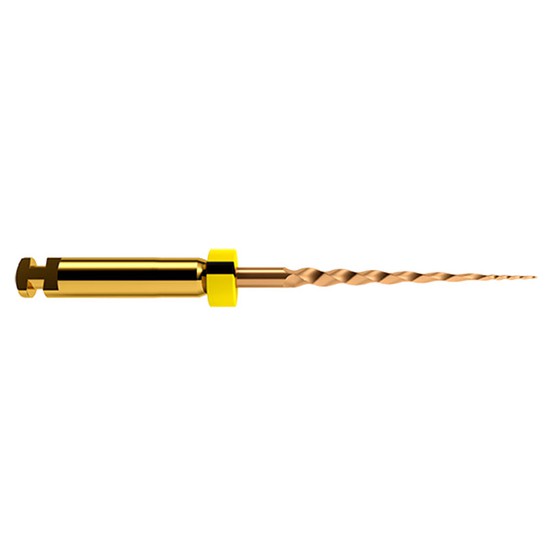 Dentsply Protaper Next Refill- X5 25mm
