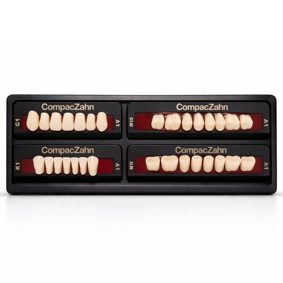 Rubydent CompacZahn Acrylic Denture natural shade Teeth A1- G1-K1-M1 (Set of 28) (2 layered)