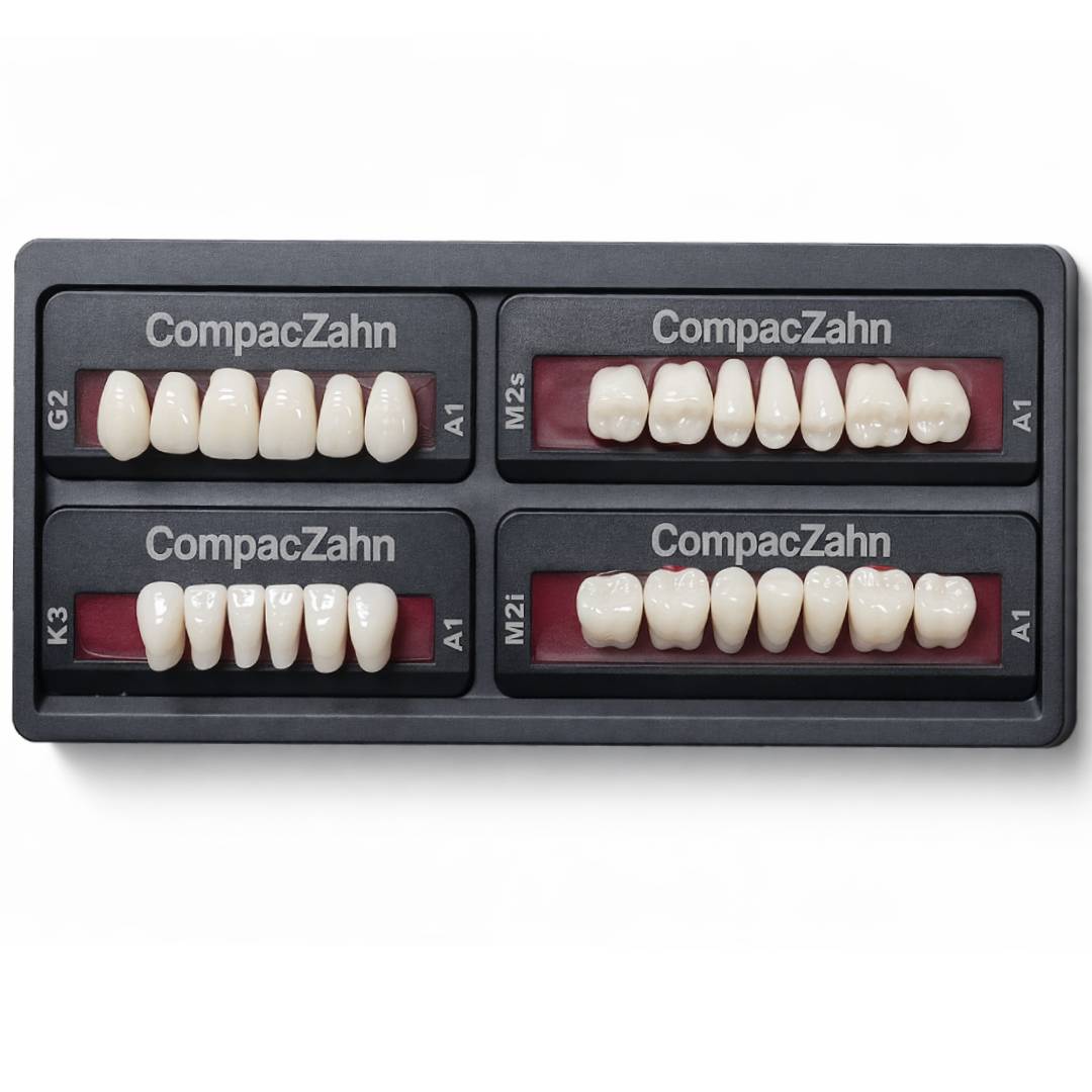 Rubydent CompacZahn Acrylic Denture natural shade Teeth A1- G2-K3-M2 (Set of 28) (2 layered)