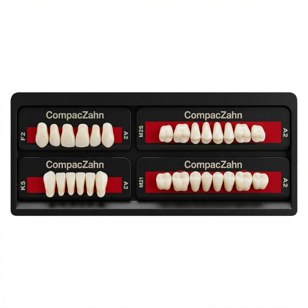 Rubydent CompacZahn Acrylic Denture natural shade Teeth A2- F2-K5-M2 (Set of 28) (2 layered)
