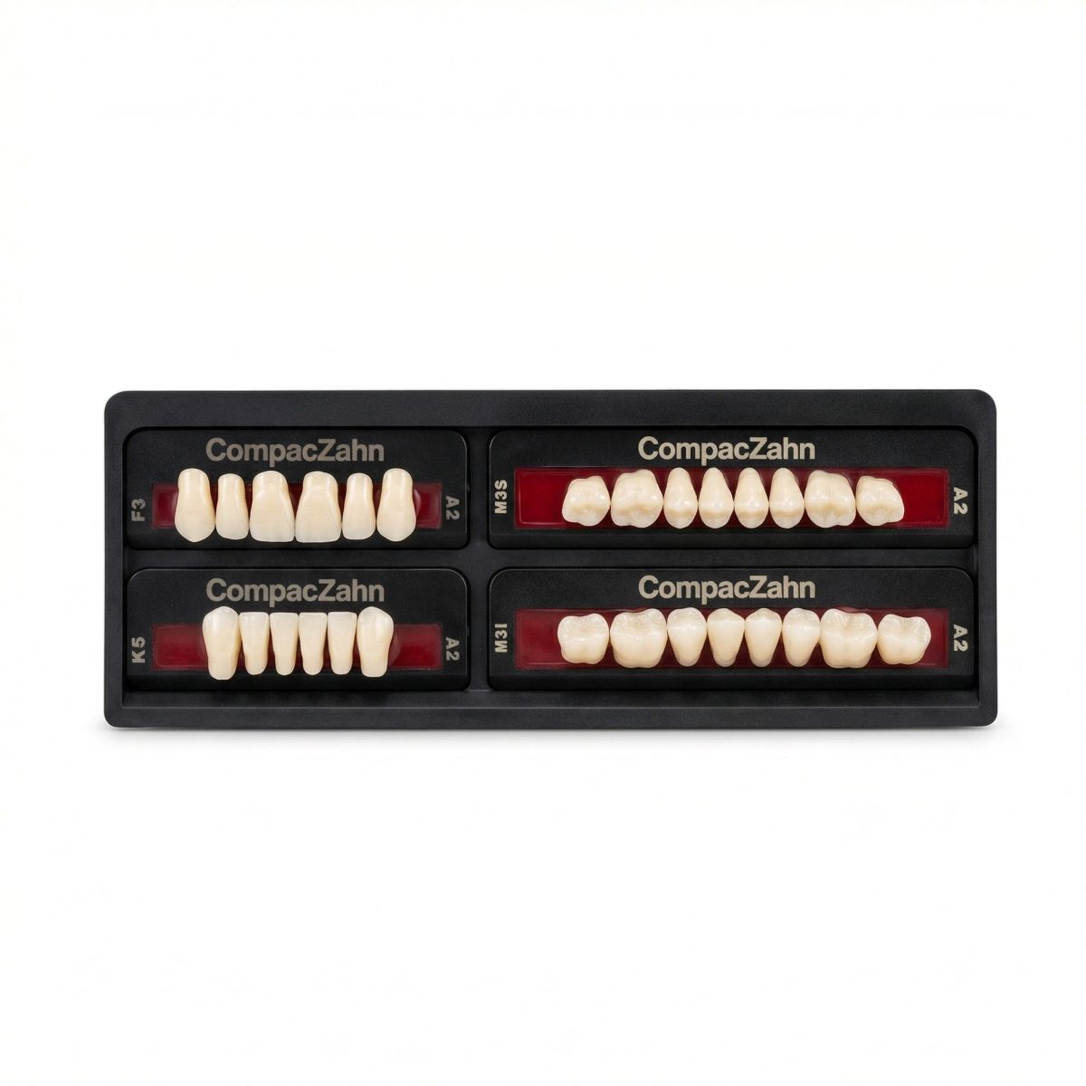 Rubydent CompacZahn Acrylic Denture natural shade Teeth A2- F3-K5-M3 (Set of 28) (2 layered)
