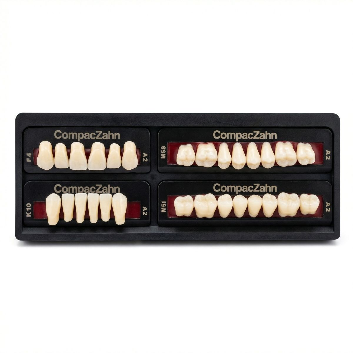 Rubydent CompacZahn Acrylic Denture natural shade Teeth A2- F4-K10-M5 (Set of 28) (2 layered)