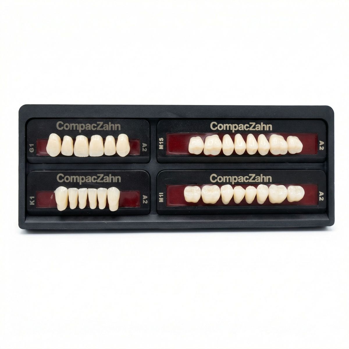 Rubydent CompacZahn Acrylic Denture natural shade Teeth A2- G1-K1-M1(Set of 28) (2 layered)