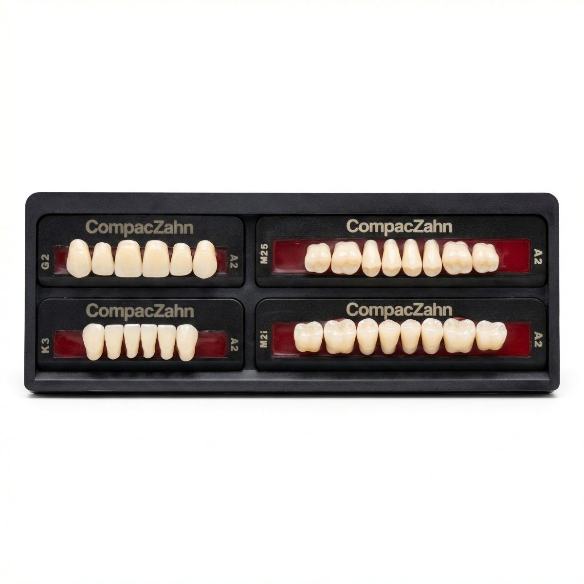 Rubydent CompacZahn Acrylic Denture natural shade Teeth A2- G2-K3-M2 (Set of 28) (2 layered)
