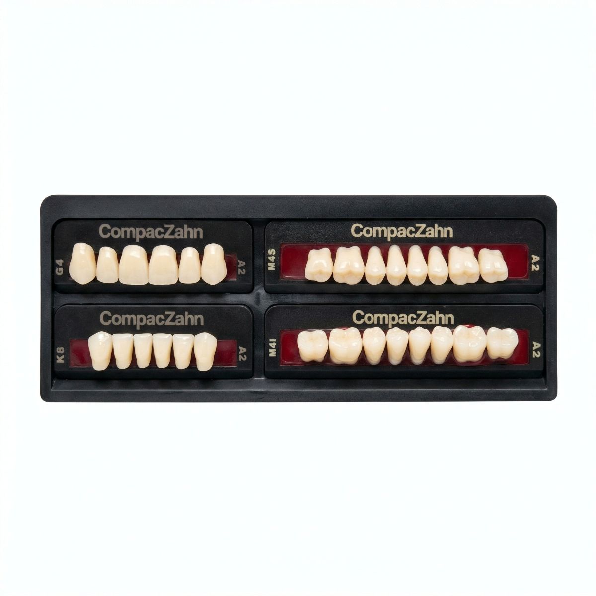 Rubydent CompacZahn Acrylic Denture natural shade Teeth A2- G4-K8-M4 (Set of 28) (2 layered)