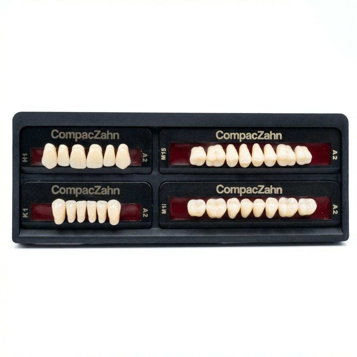 Rubydent CompacZahn Acrylic Denture natural shade Teeth A2- H1-K1-M1 (Set of 28) (2 layered)