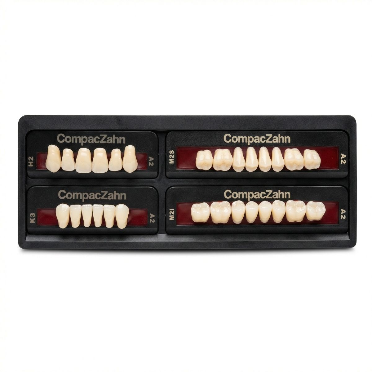 Rubydent CompacZahn Acrylic Denture natural shade Teeth A2- H2-K3-M2 (Set of 28) (2 layered)