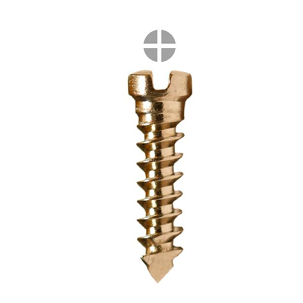 SK Surgicals SS Emergency Screws (Pack of 5)