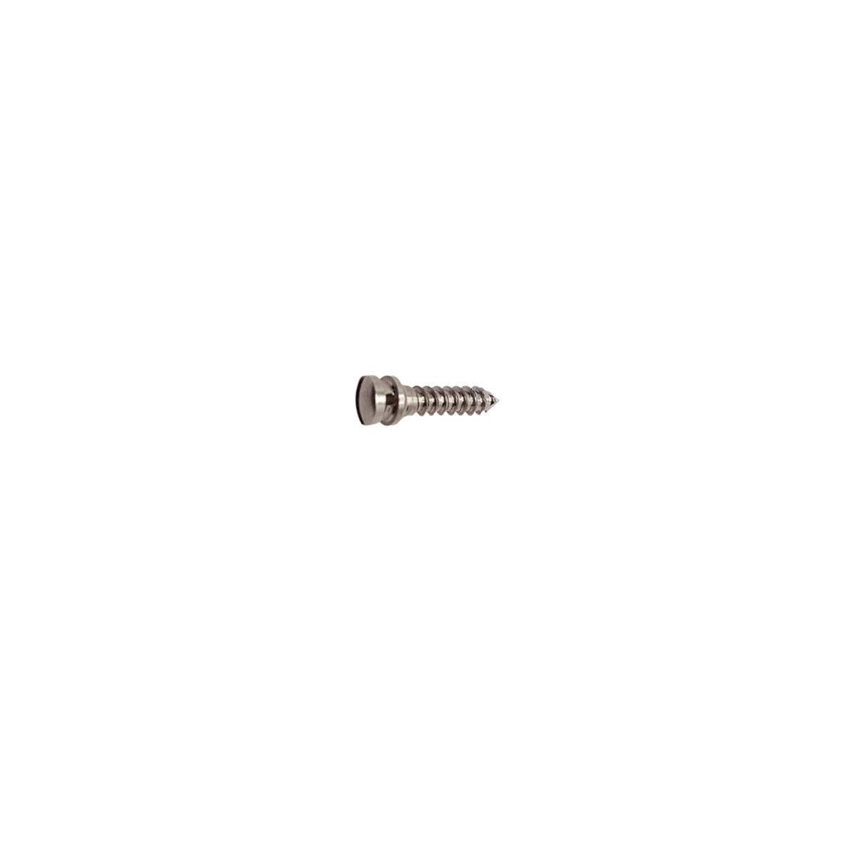 SK Surgicals SS IMF Screws - 2.5mm x 10mm (25010SI) (Pack of 5  )