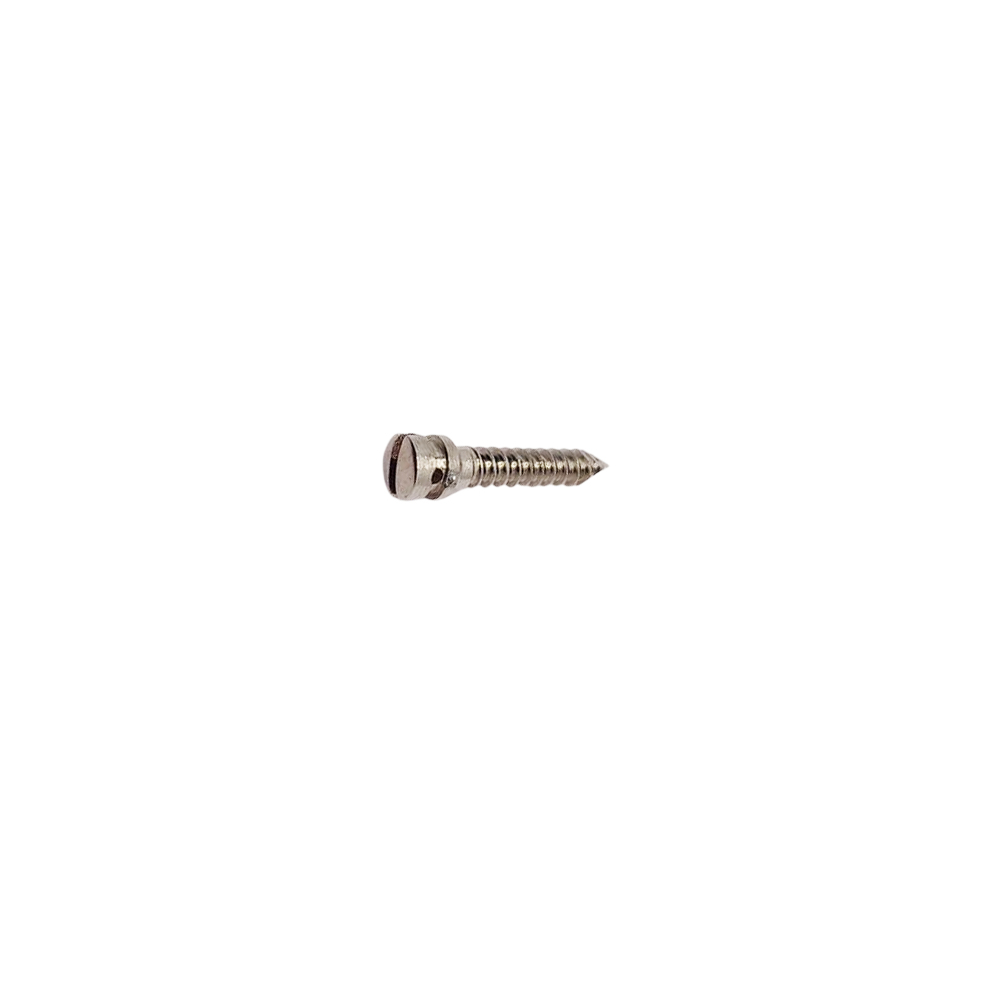 SK Surgicals SS IMF Screws - 2.5mm x 12mm (25012SI) (Pack of 5 )
