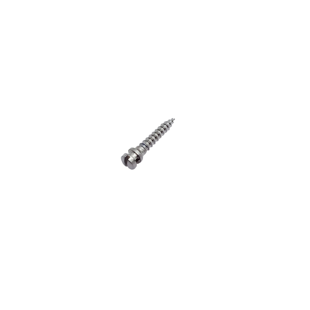 SK Surgicals SS IMF Screws - 2mm x 10mm (20010SI) (Pack of 5 )