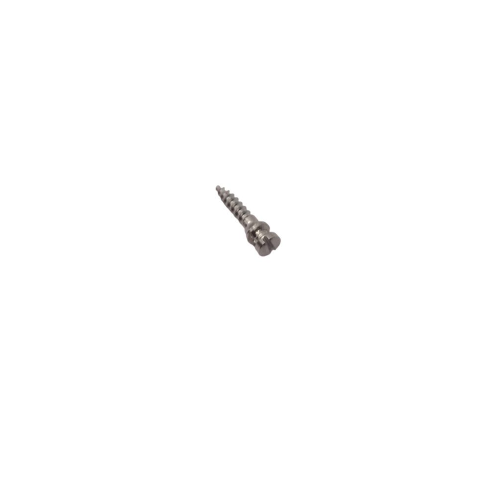SK Surgicals SS IMF Screws - 2mm x 8mm (2008SI) (Pack of 5 )