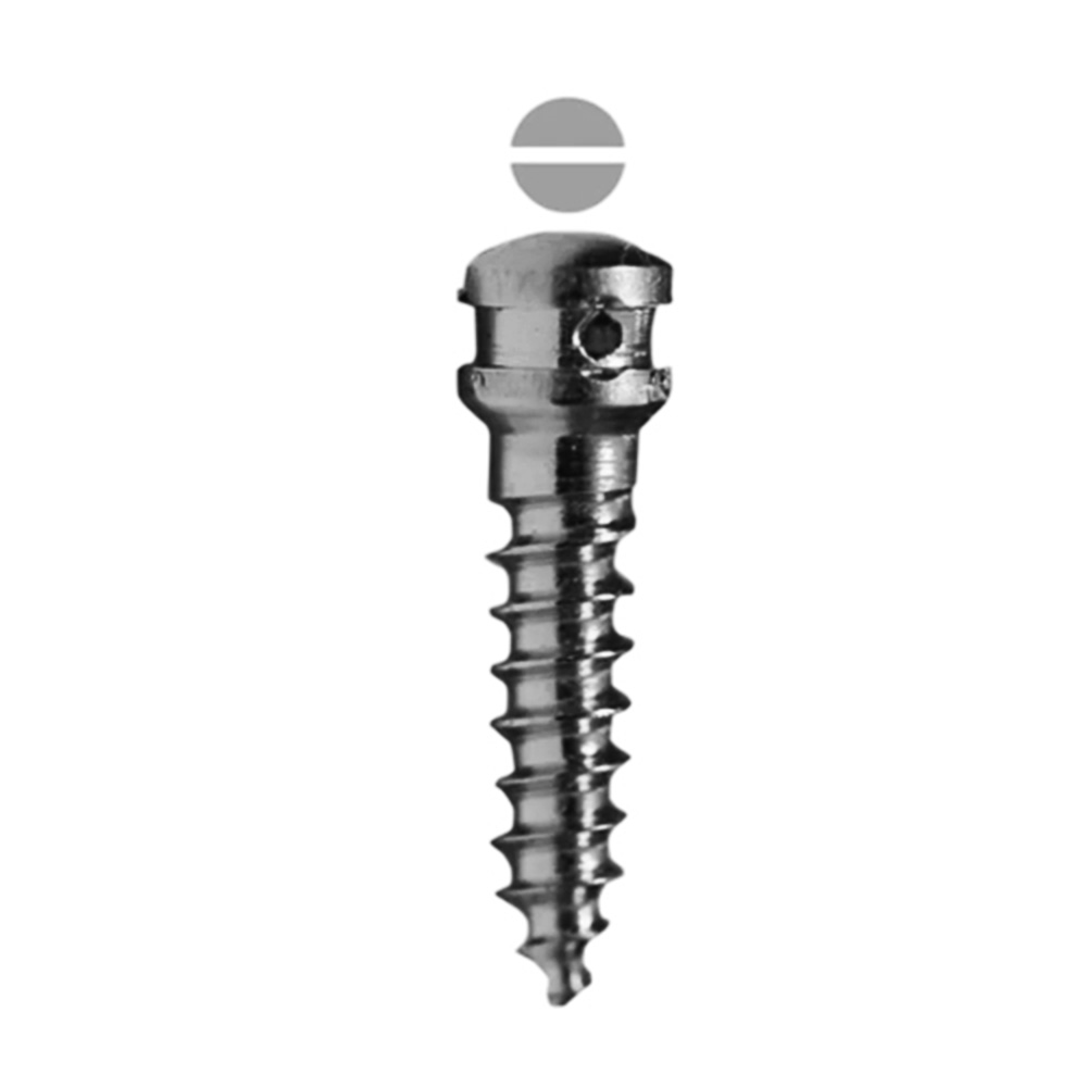 SK Surgicals SS IMF Screws (Pack of 5)