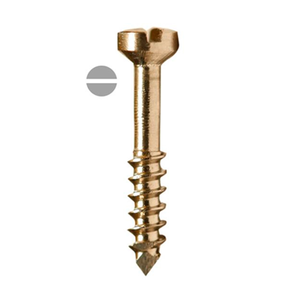 SK Surgicals SS Lag Screws - 2.5mm x 18mm (25018SL)