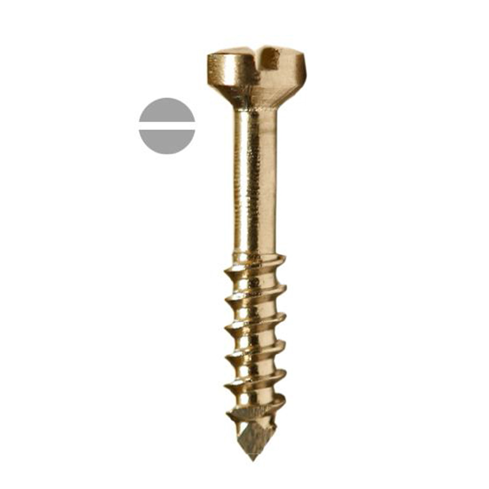 SK Surgicals SS Lag Screws - 2mm (Pack of 5)