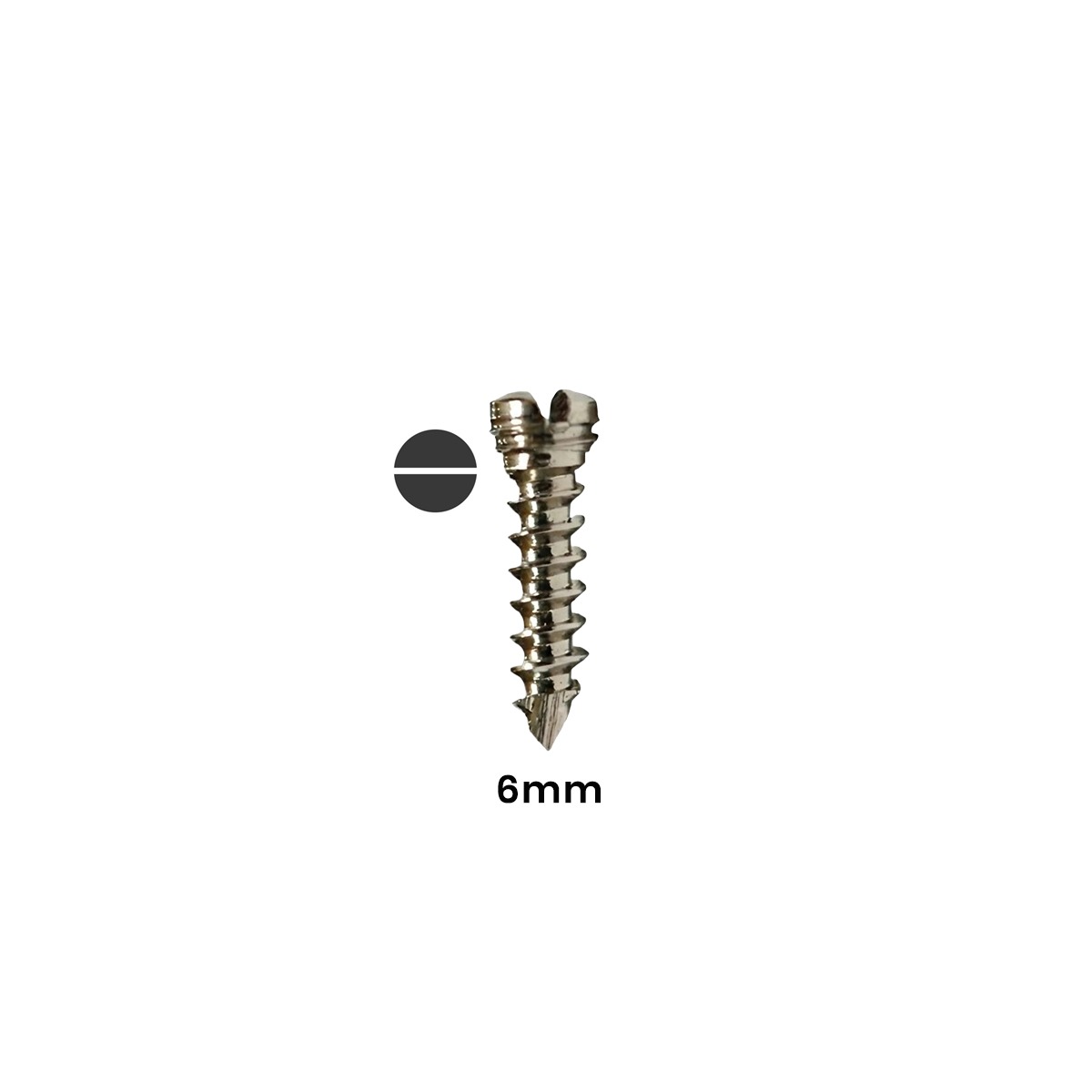 SK Surgicals SS Locking Screws - 2mm x 6mm (2006SLC)