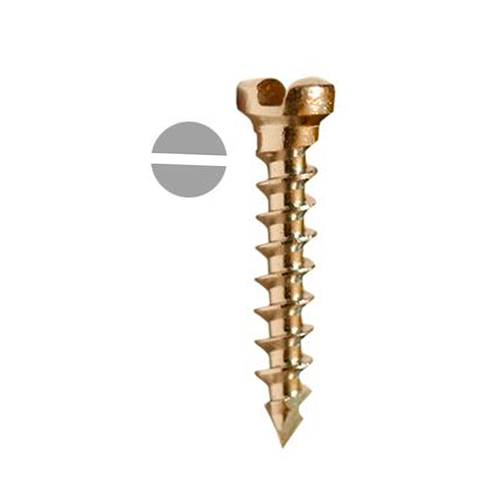 SK Surgicals SS Single Slot Screws - 1.5mm (Pack of 5)
