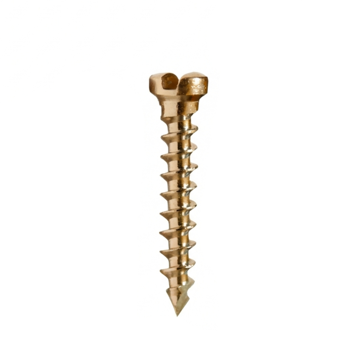 SK Surgicals SS Single Slot Screws - 1.5mm x 10mm (15010S) (Pack of 5 )