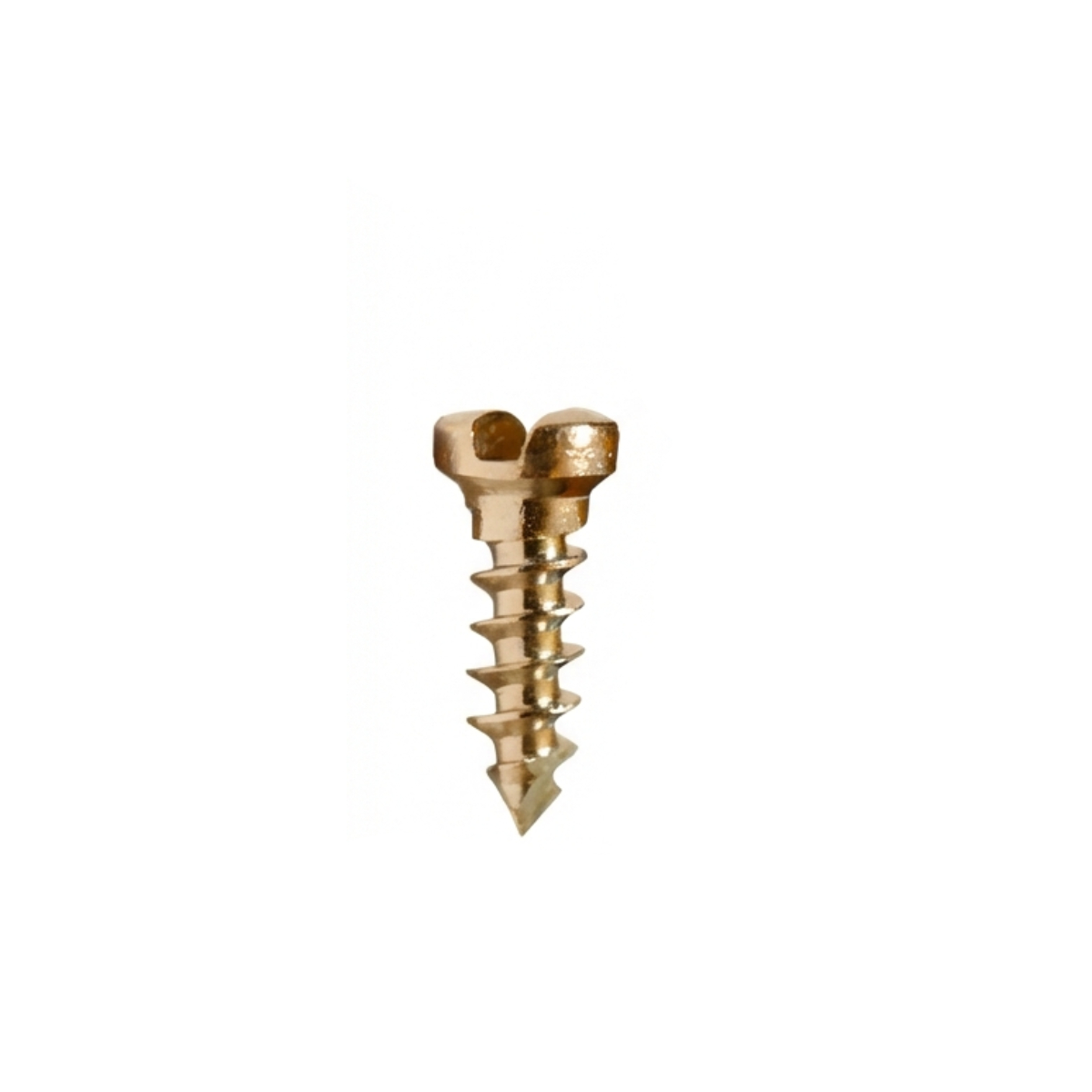 SK Surgicals SS Single Slot Screws - 1.5mm x 4mm (1504S) (Pack of 5 )