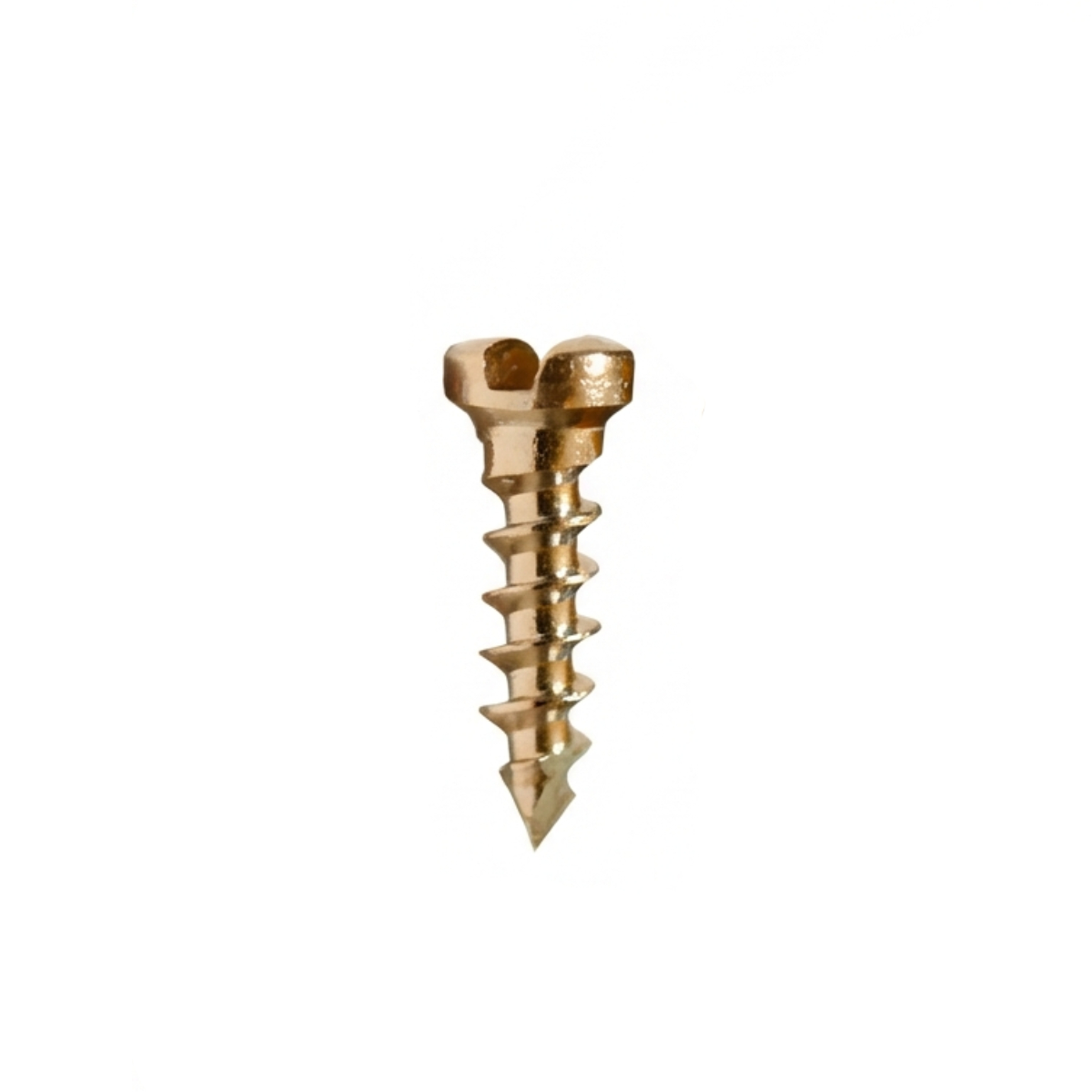 SK Surgicals SS Single Slot Screws - 1.5mm x 5mm (1505S) (Pack of 5 )