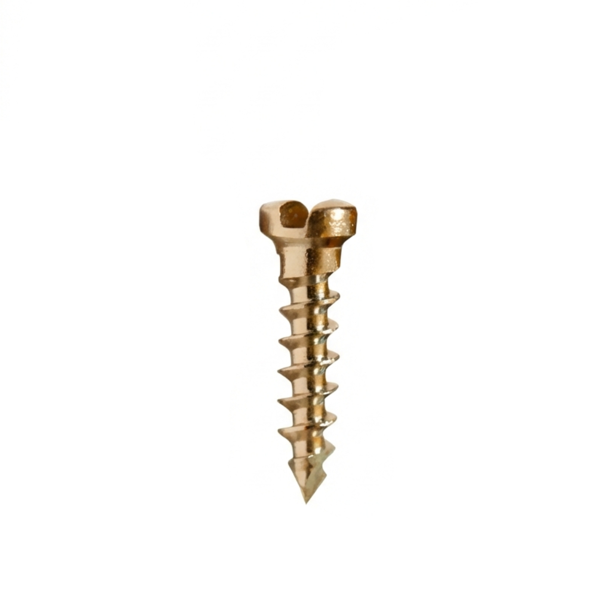 SK Surgicals SS Single Slot Screws - 1.5mm x 6mm (1506S) (Pack of 5 )