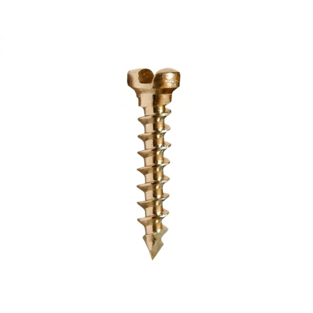SK Surgicals SS Single Slot Screws - 1.5mm x 8mm (1508S) (Pack of 5 )