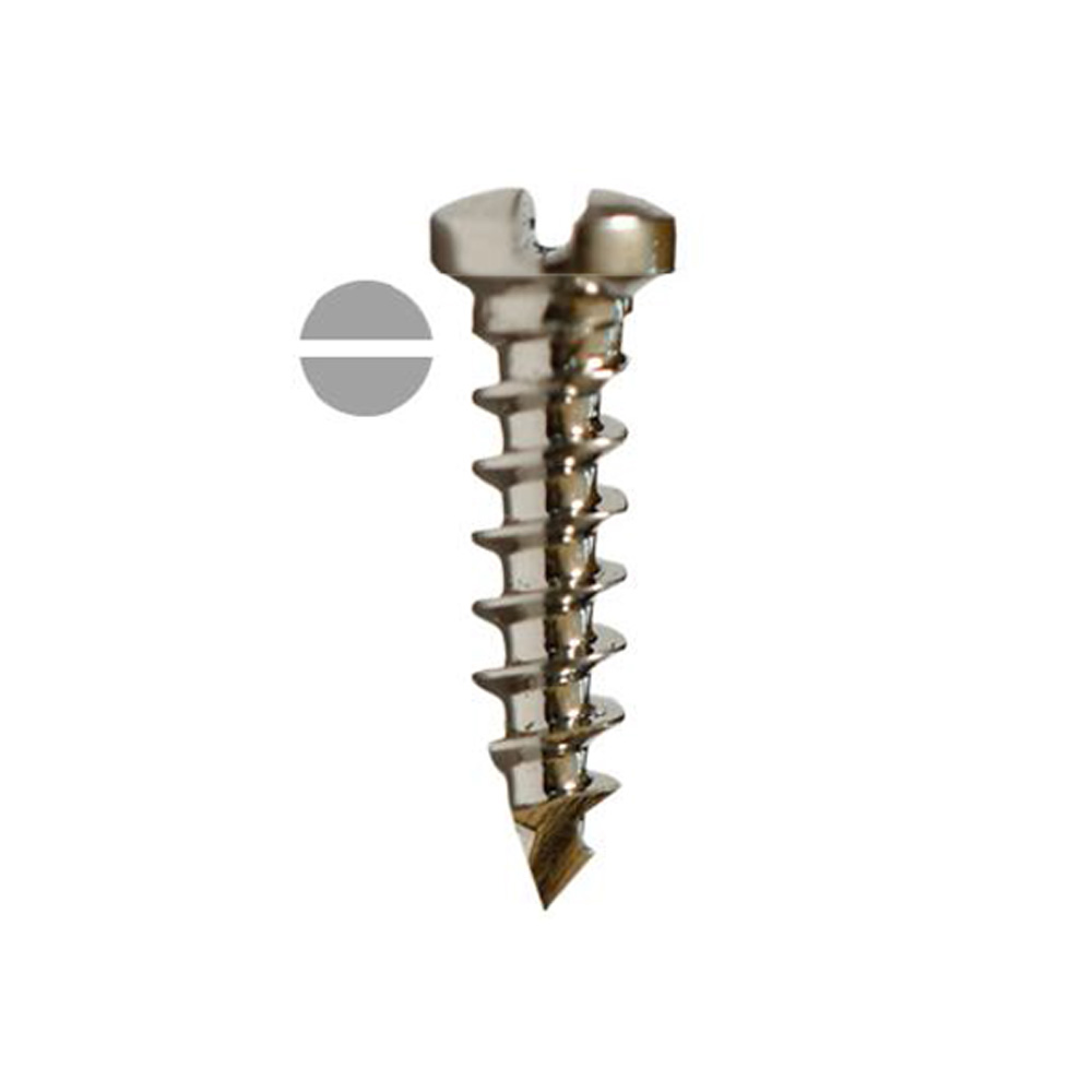 SK Surgicals SS Single Slot Screws - 2mm (Pack of 5)
