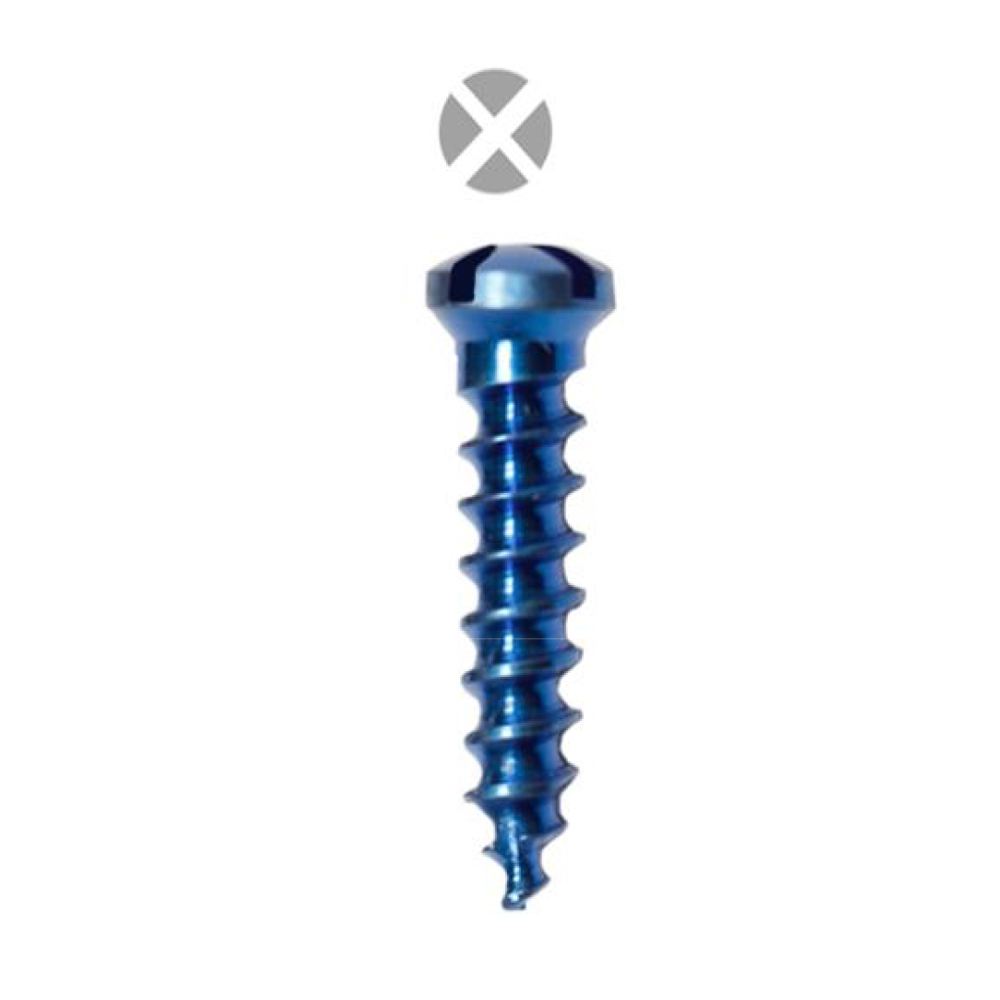 SK Surgicals Titanium Cross Head Screws - 2mm (Pack of 5)