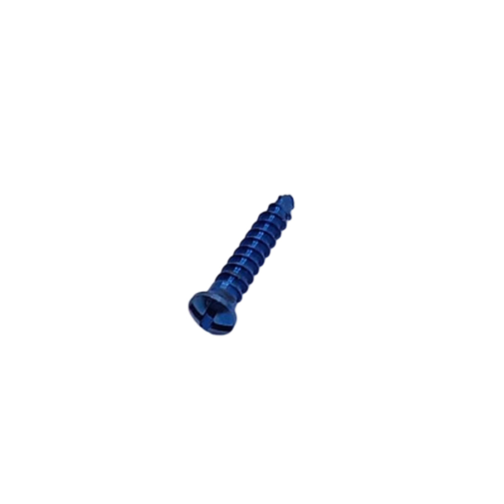 SK Surgicals Titanium Cross Head Screws - 2mm x 10mm (20010TC) (Pack of 5 )
