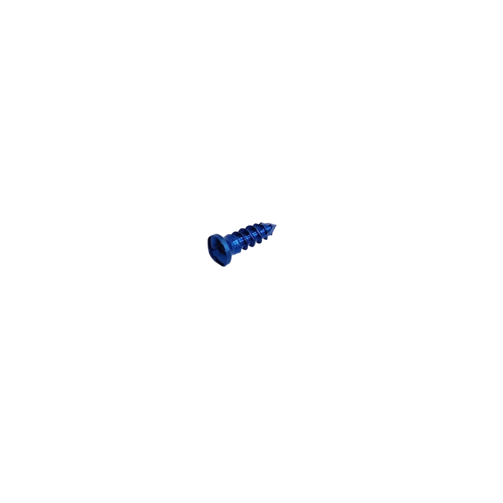 SK Surgicals Titanium Cross Head Screws - 2mm x 6mm (2006TC) (Pack of 5 )