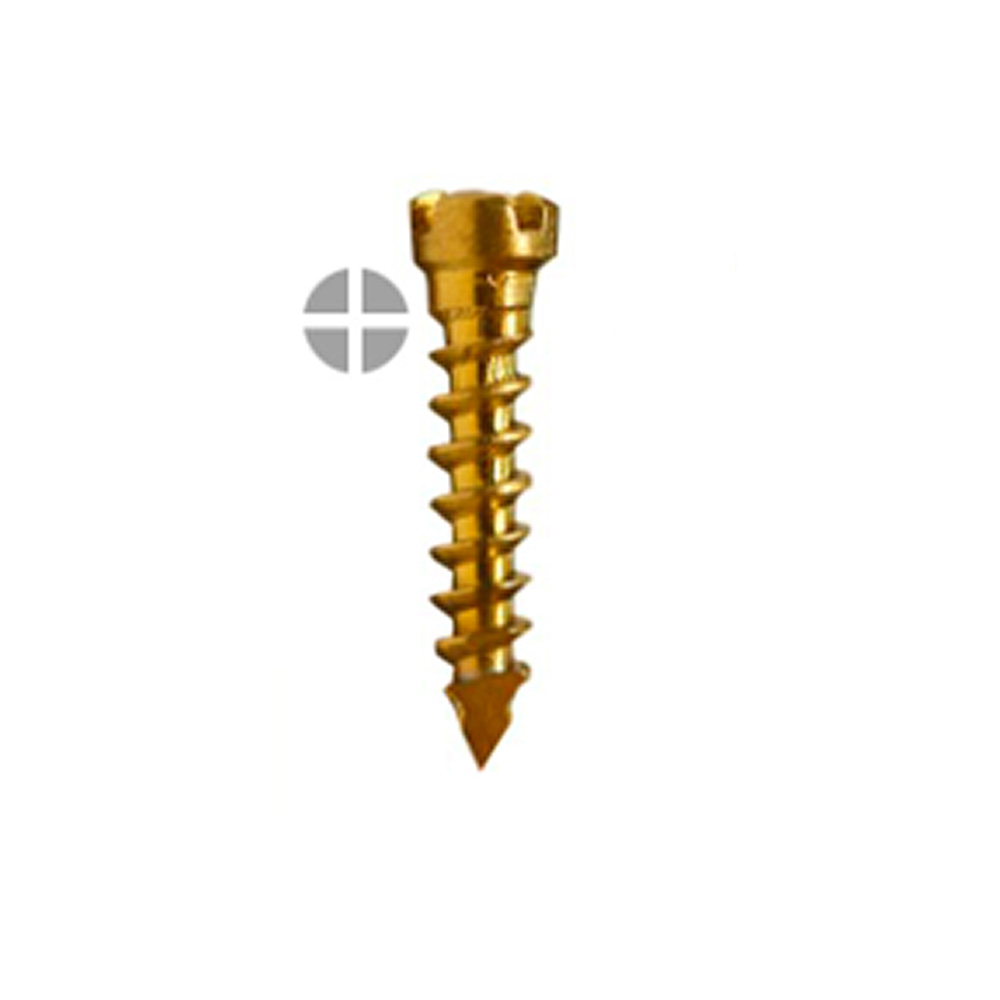 SK Surgicals Titanium Emergency Screws - 1.7mm x 10mm (17010TE)