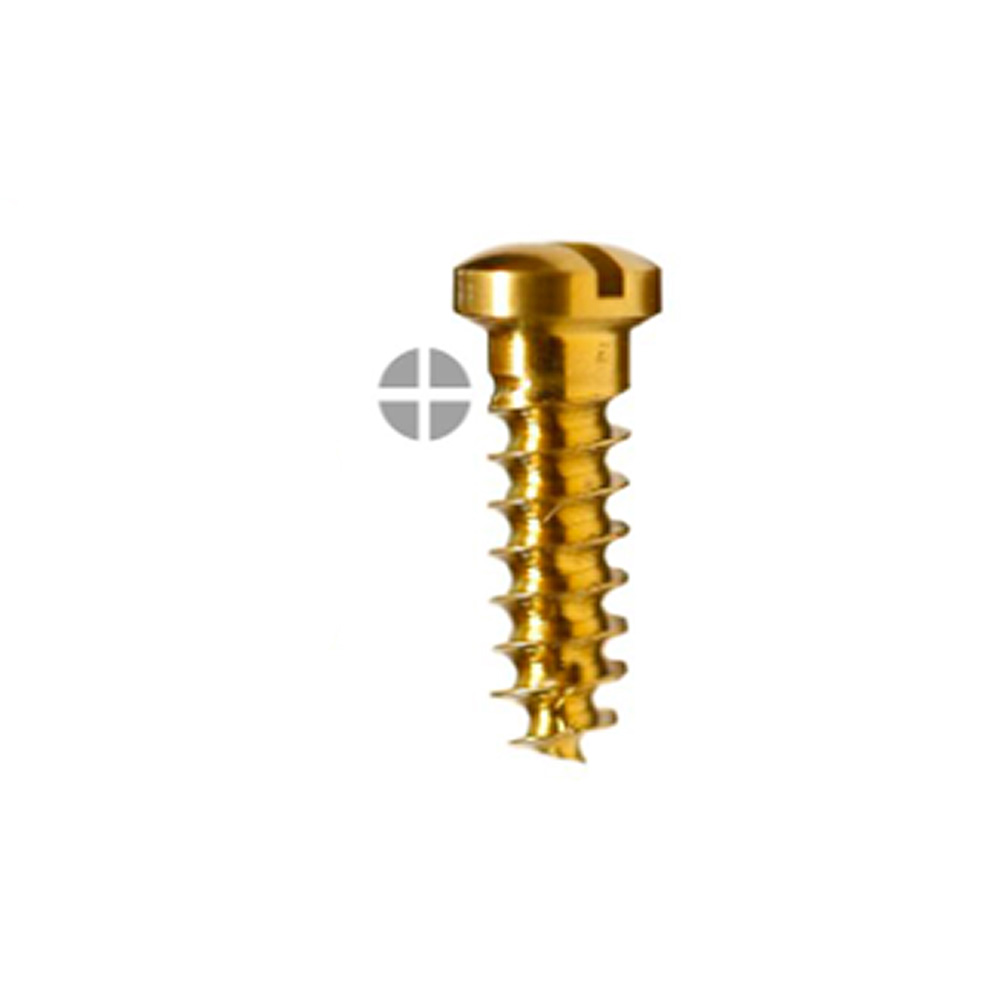 SK Surgicals Titanium Emergency Screws - 2.7mm x 12mm (27012TE) (Pack of 5 )