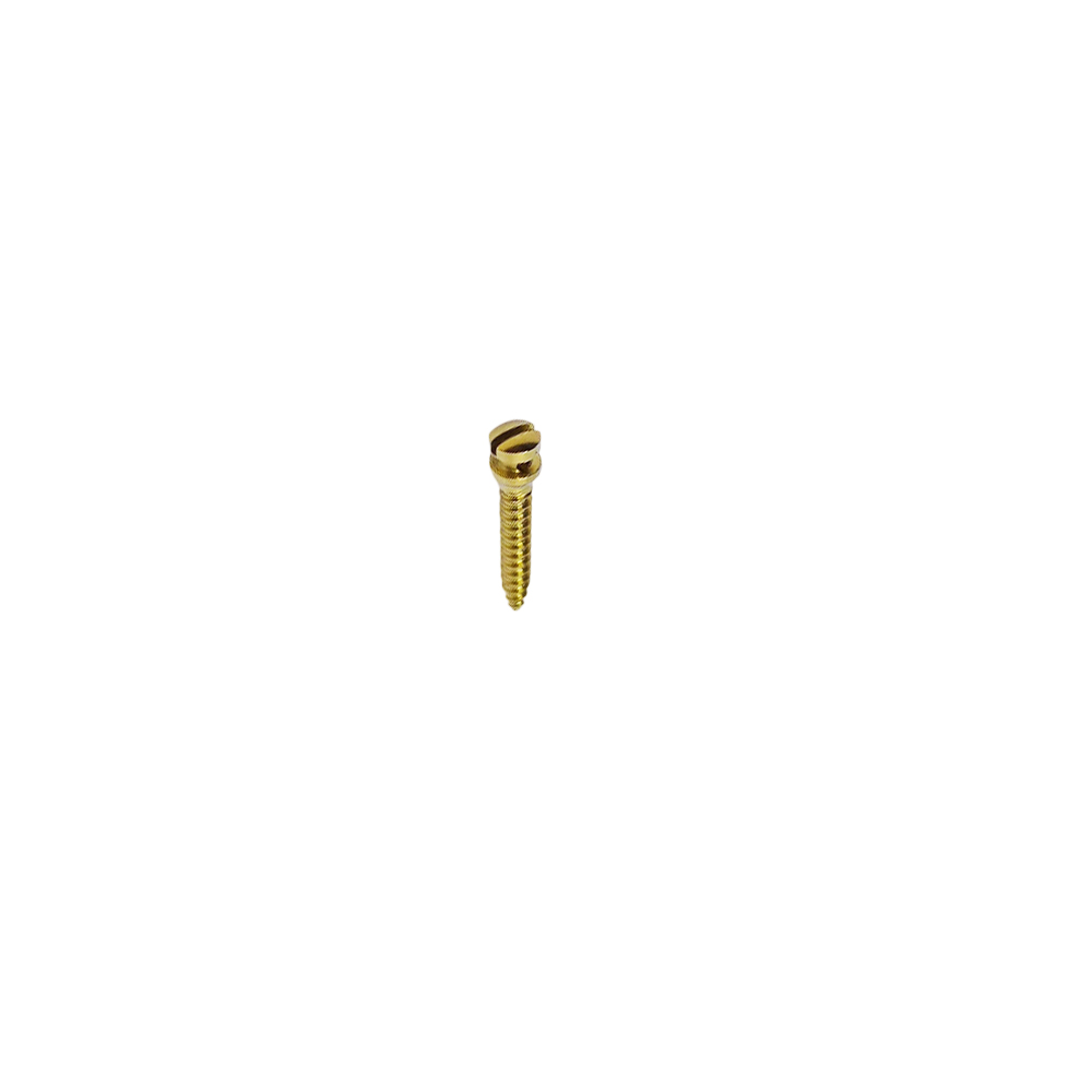 SK Surgicals Titanium IMF Screws - 2mm x 12mm (20012TI)
