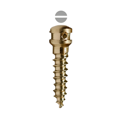 SK Surgicals Titanium IMF Screws (Pack of 5)
