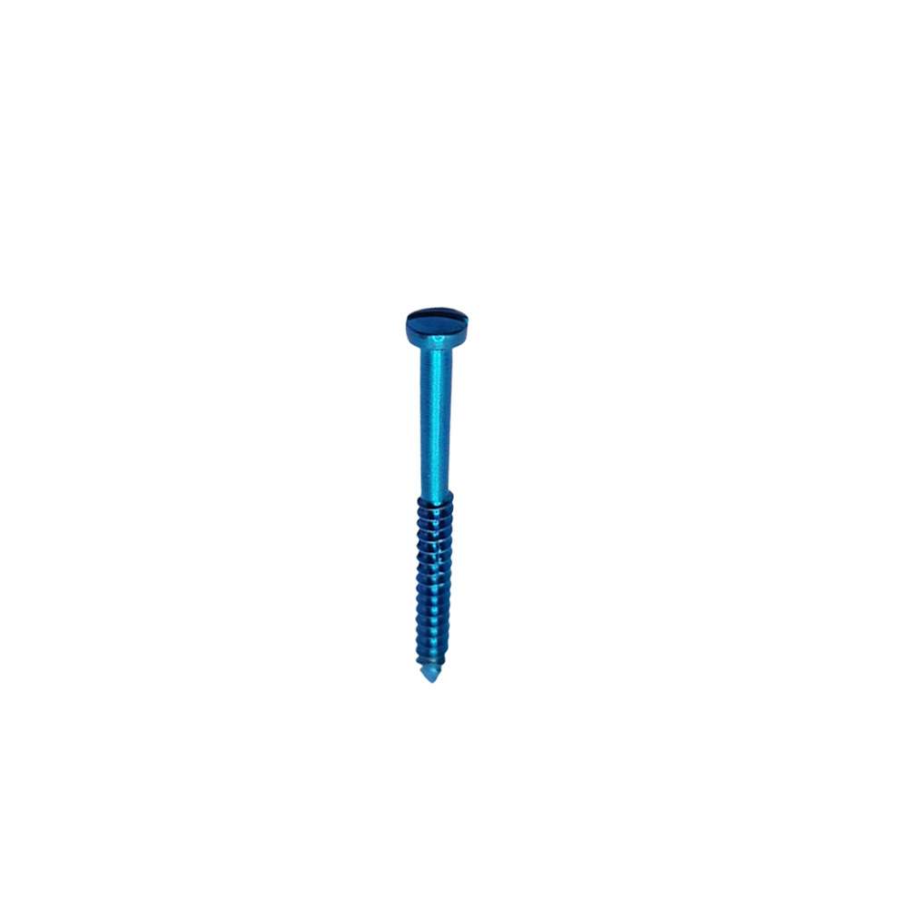 SK Surgicals Titanium Lag Screws - 2.5mm x 24mm (25024TL)