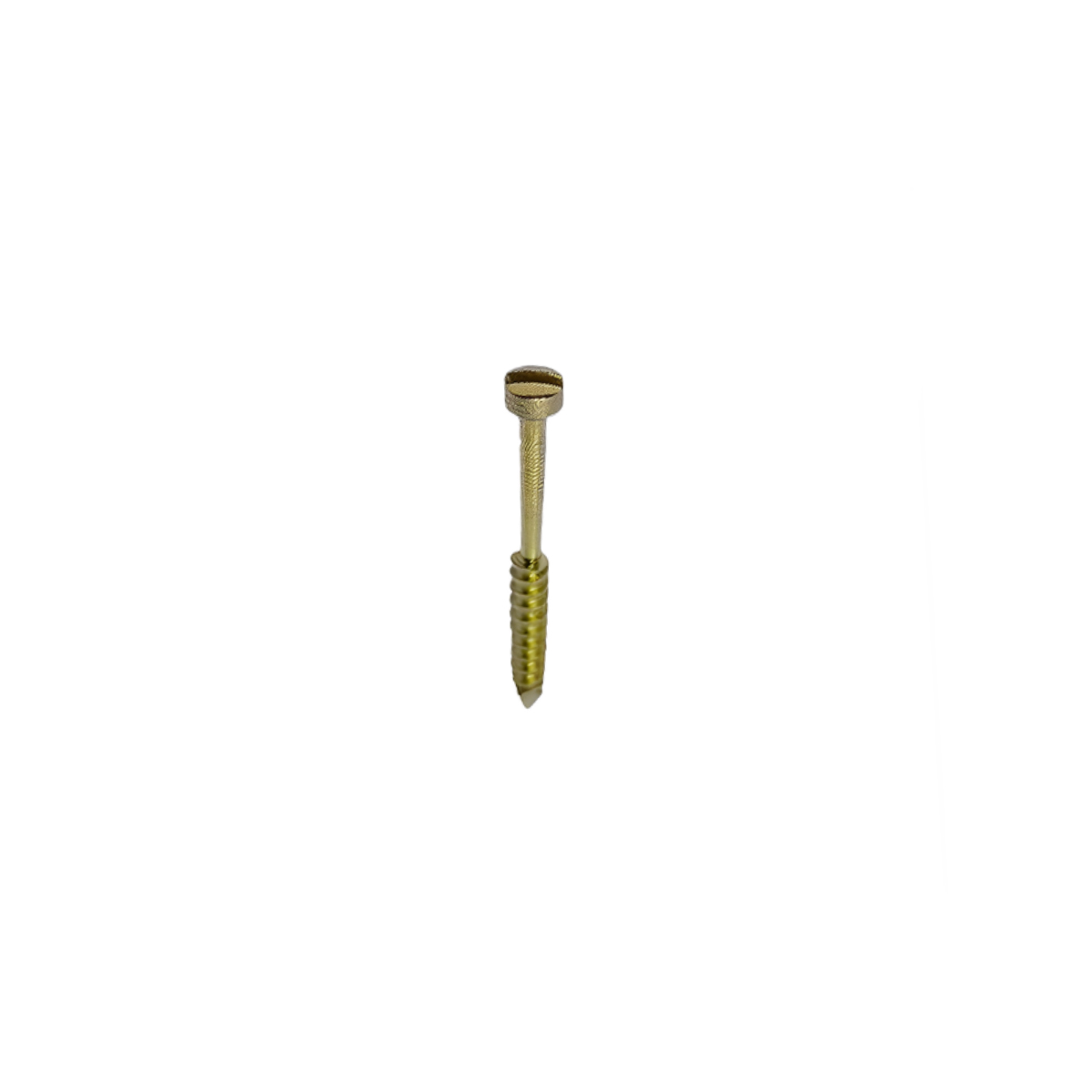 SK Surgicals Titanium Lag Screws - 2mm x 12mm (20012TL)