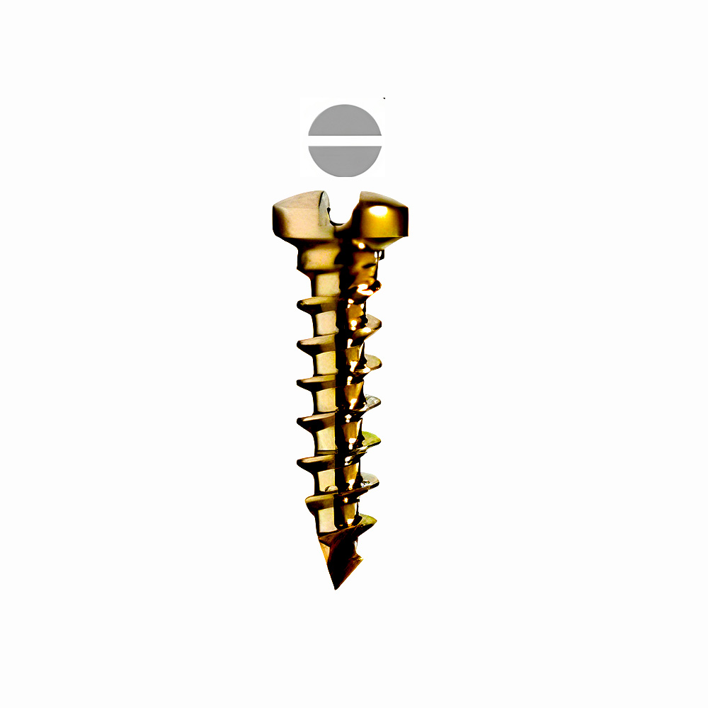 SK Surgicals Titanium Locking Screws - 2mm x 10mm (20010TLC)