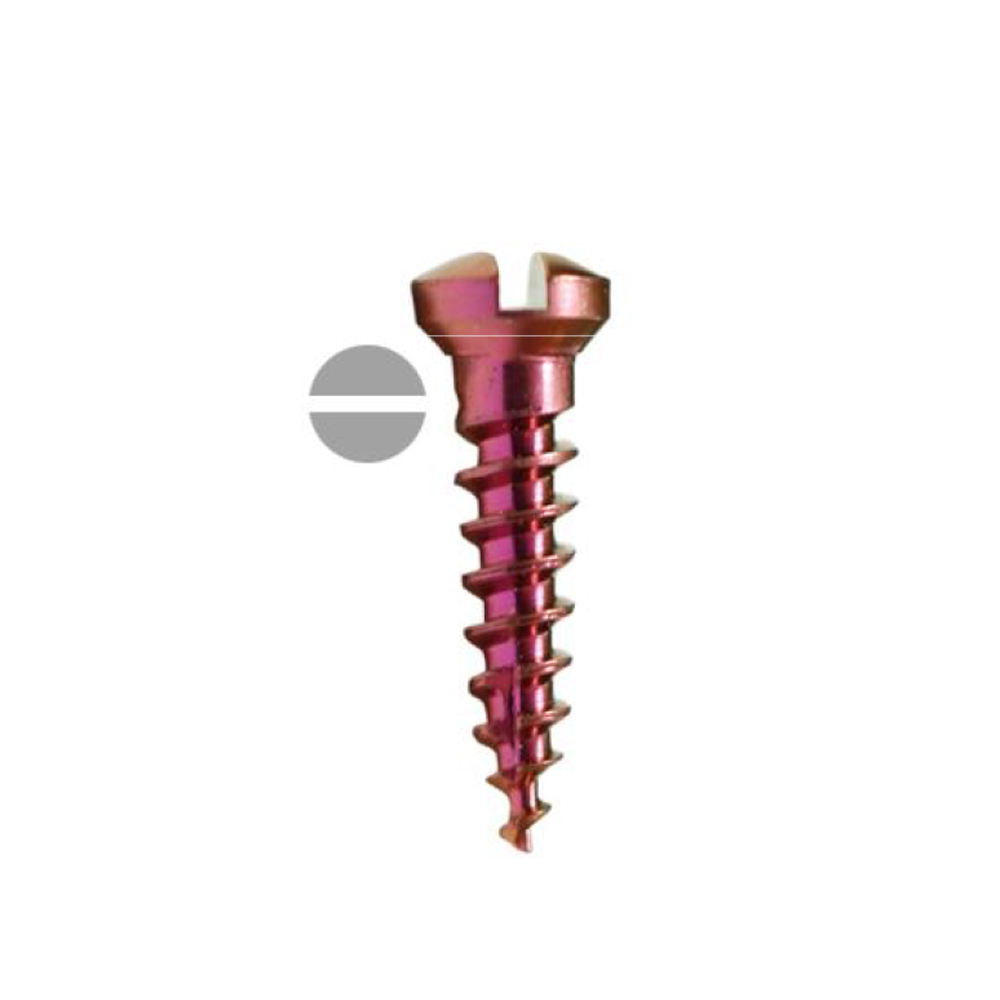 SK Surgicals Titanium Single Slot Screws - 1.5mm x 6mm (1506T)