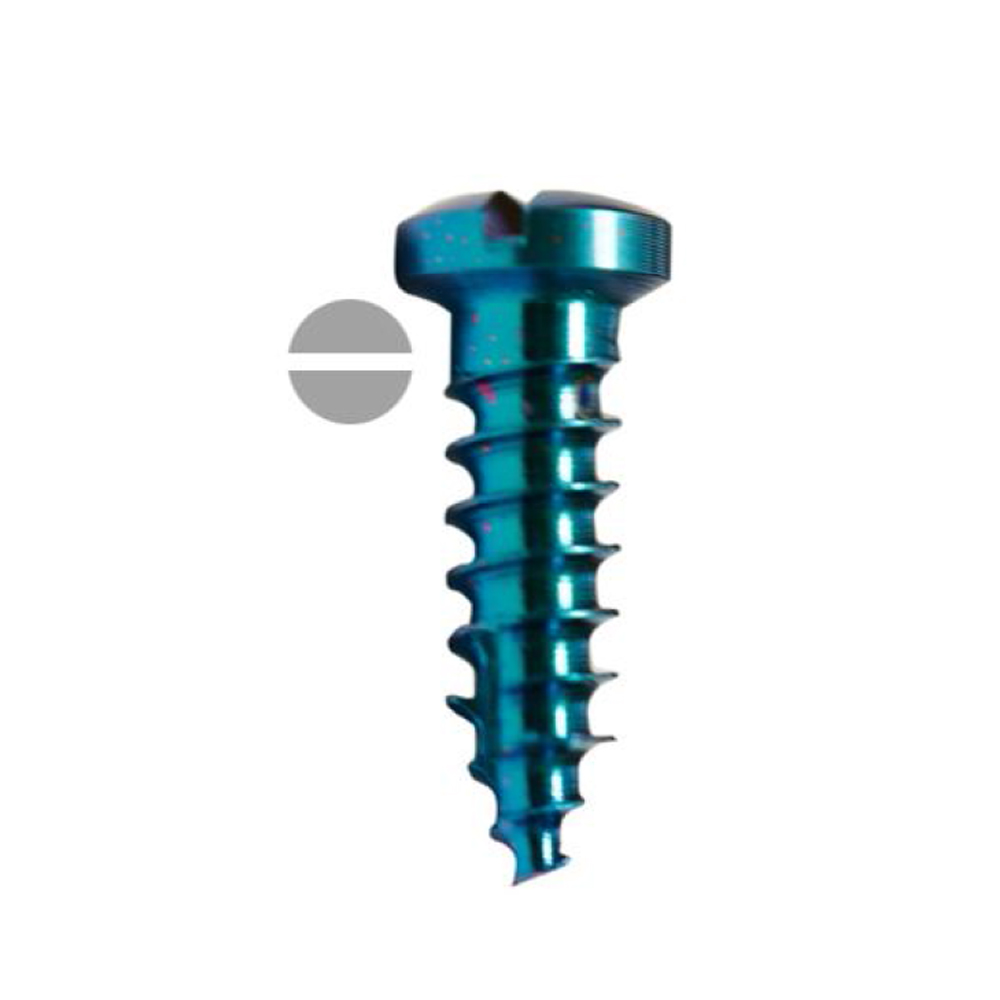 SK Surgicals Titanium Single Slot Screws - 2.5mm (Pack of 5)