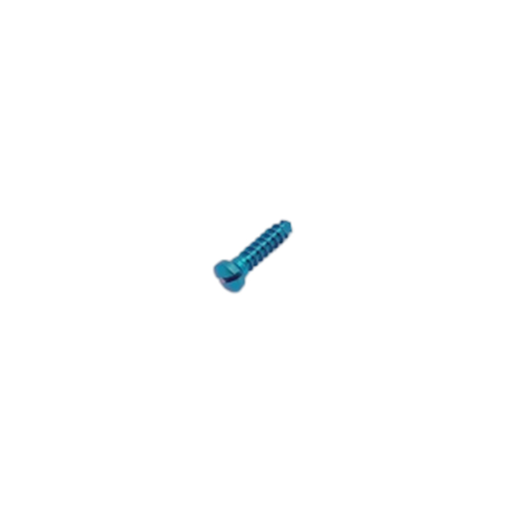 SK Surgicals Titanium Single Slot Screws - 2.5mm x 10mm (25010T) (Pack of 5 )