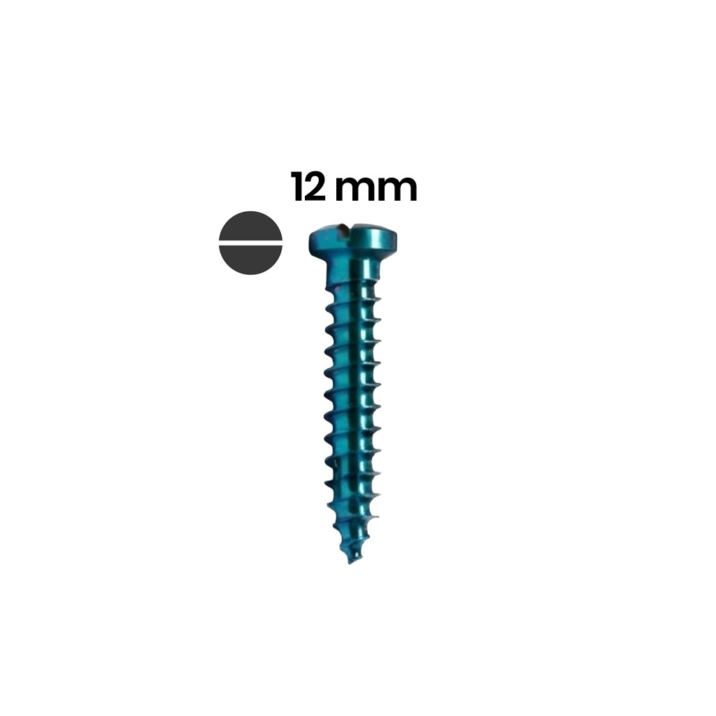 SK Surgicals Titanium Single Slot Screws - 2.5mm x 12mm (25012T)